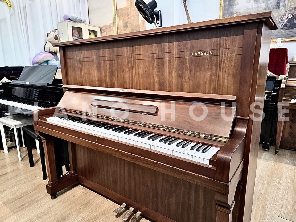 Chi tiết đàn DIAPASON No.132 - Hình 4